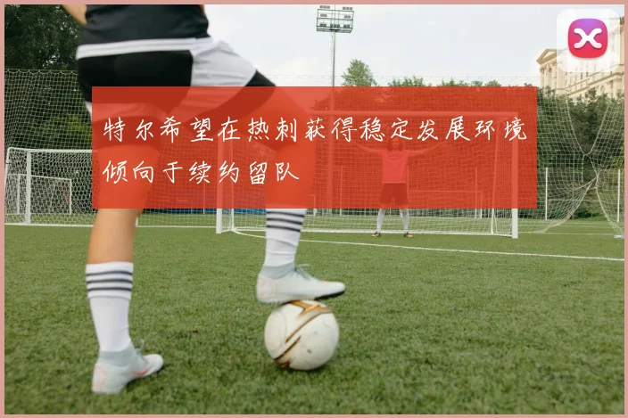 特尔希望在热刺获得稳定发展环境倾向于续约留队