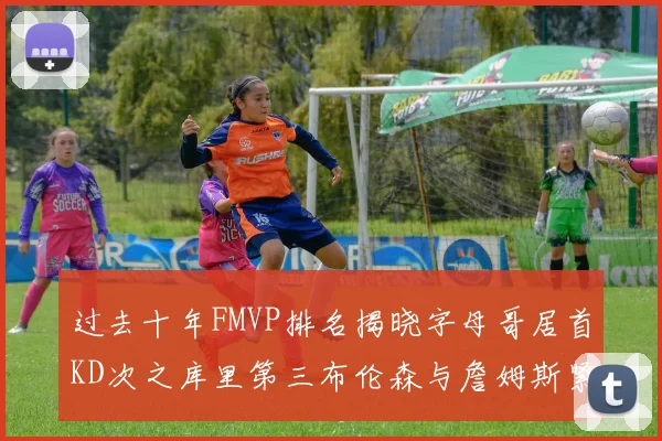 过去十年FMVP排名揭晓字母哥居首KD次之库里第三布伦森与詹姆斯紧随其后