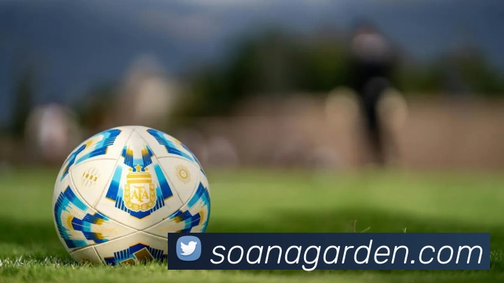 APP界面展示