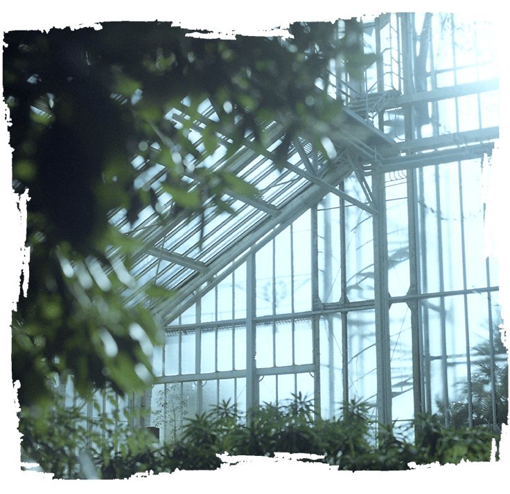 Soana Garden Sheds – Greenhouses and Garden Sheds